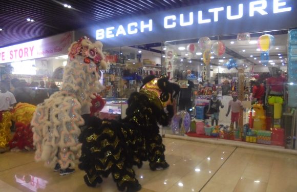 Awesome Fun and Entertainment of Welcoming Year of the Pig