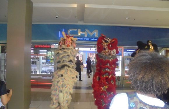 Awesome Fun and Entertainment of Welcoming Year of the Pig