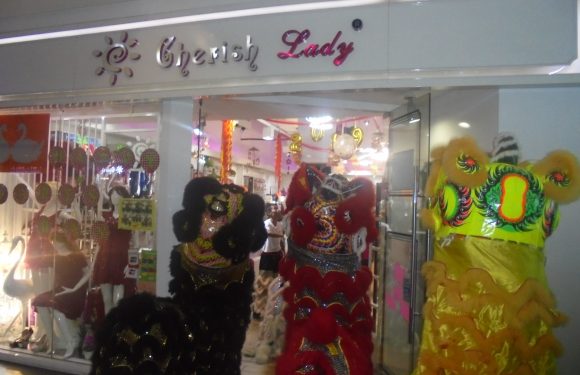 Awesome Fun and Entertainment of Welcoming Year of the Pig