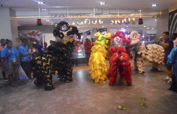 Awesome Fun and Entertainment of Welcoming Year of the Pig