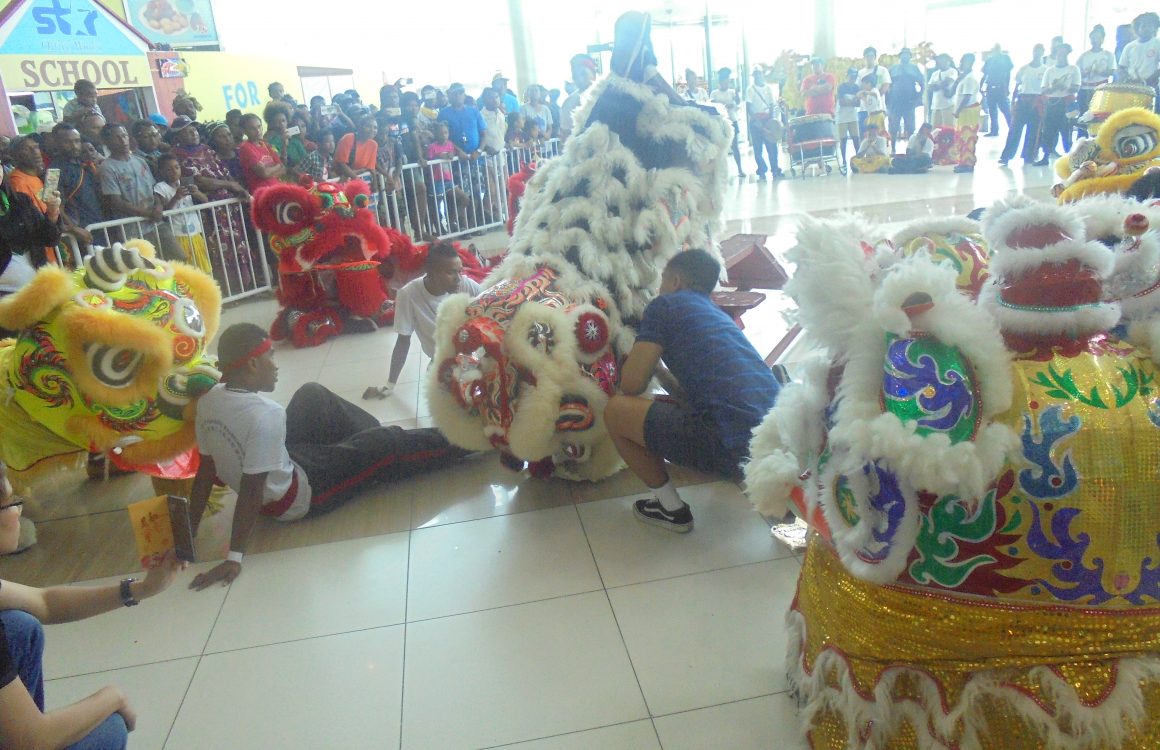 ME 02 -03 Awesome Fun and Entertainment of Welcoming Year of the Pig