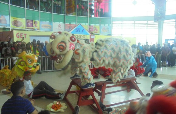 Awesome Fun and Entertainment of Welcoming Year of the Pig