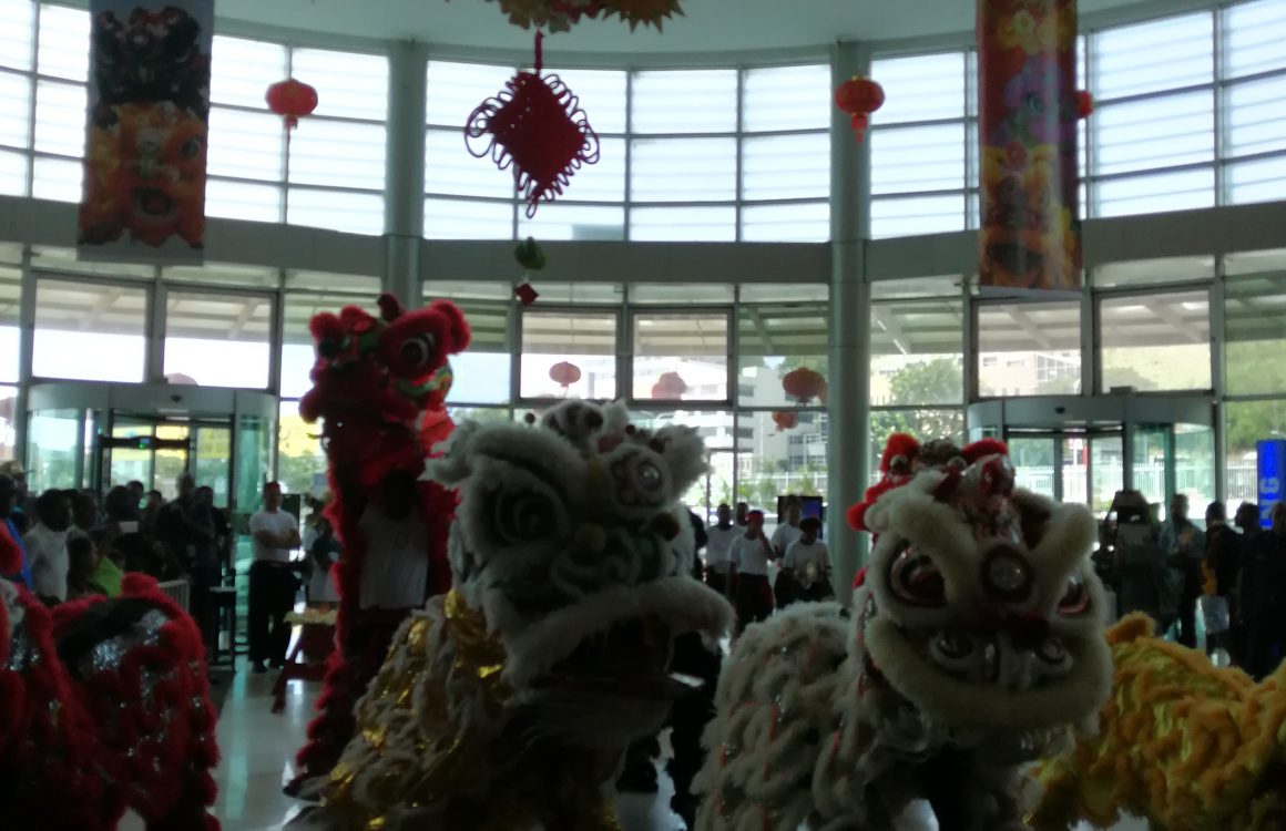 sdr Awesome Fun and Entertainment of Welcoming Year of the Pig