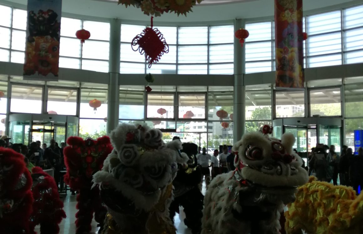 cof Awesome Fun and Entertainment of Welcoming Year of the Pig