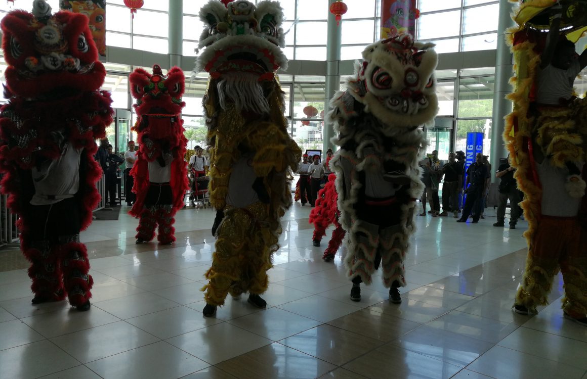 sdr Awesome Fun and Entertainment of Welcoming Year of the Pig