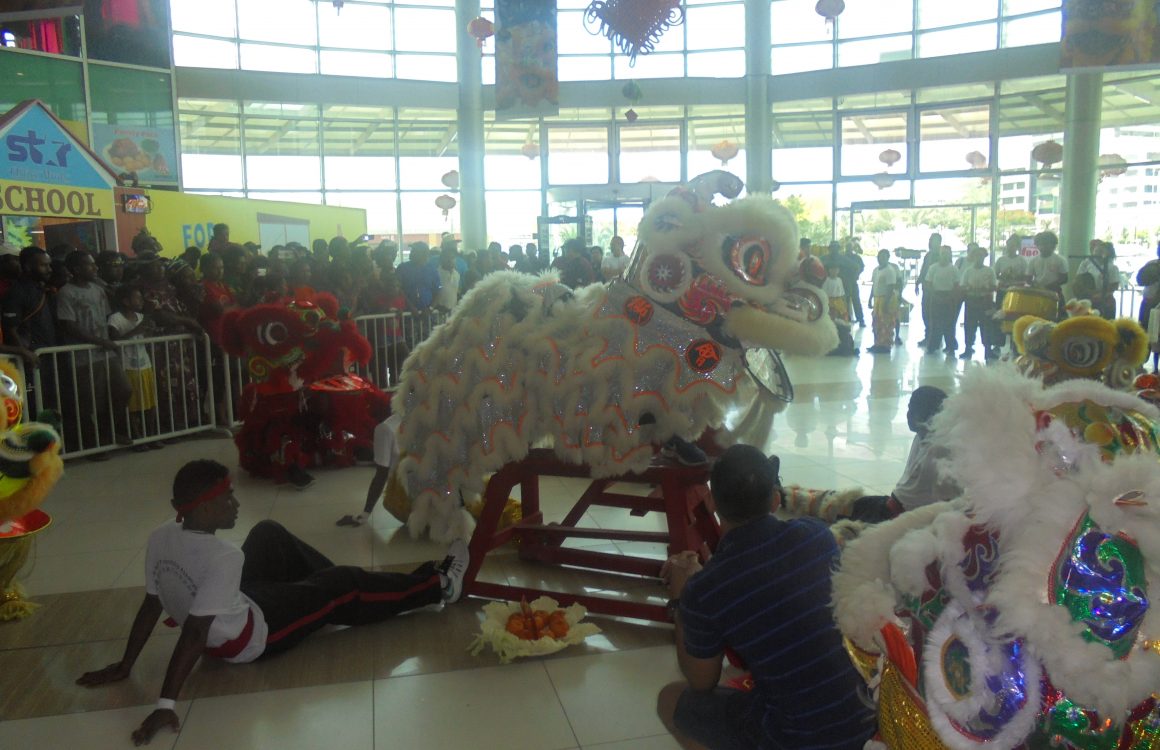 ME pic 02-01 Awesome Fun and Entertainment of Welcoming Year of the Pig