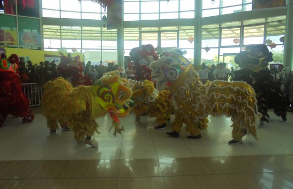 Awesome Fun and Entertainment of Welcoming Year of the Pig