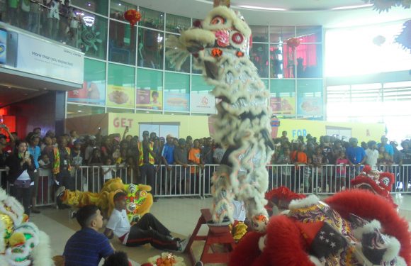 Awesome Fun and Entertainment of Welcoming Year of the Pig