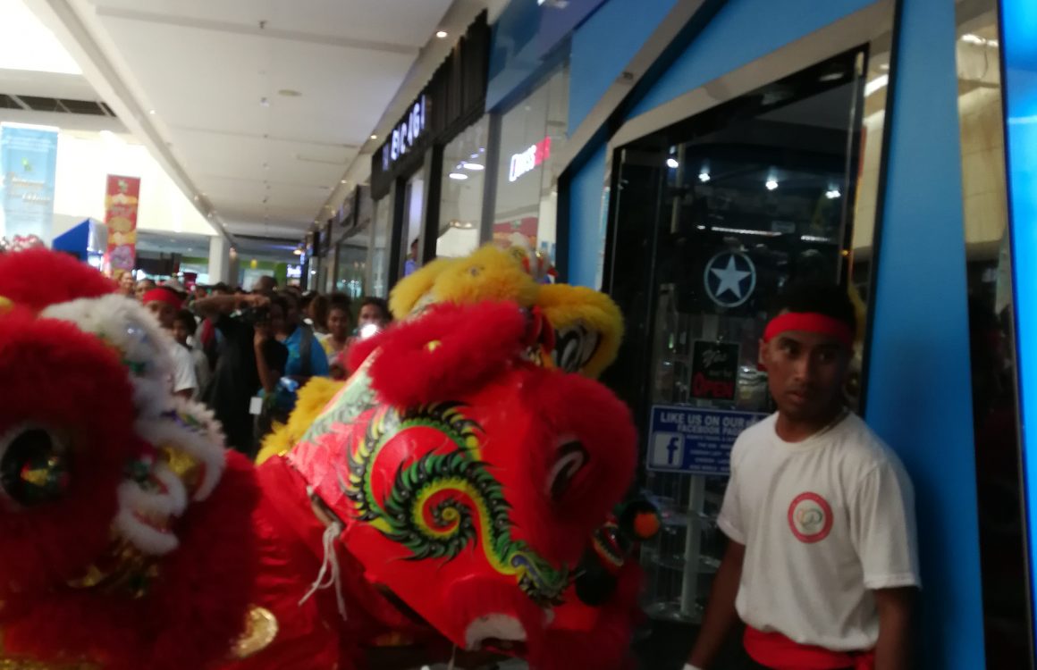 sdr Awesome Fun and Entertainment of Welcoming Year of the Pig