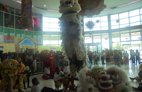 Awesome Fun and Entertainment of Welcoming Year of the Pig