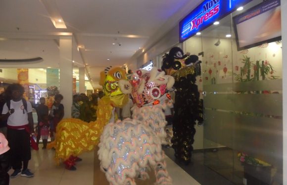 Awesome Fun and Entertainment of Welcoming Year of the Pig