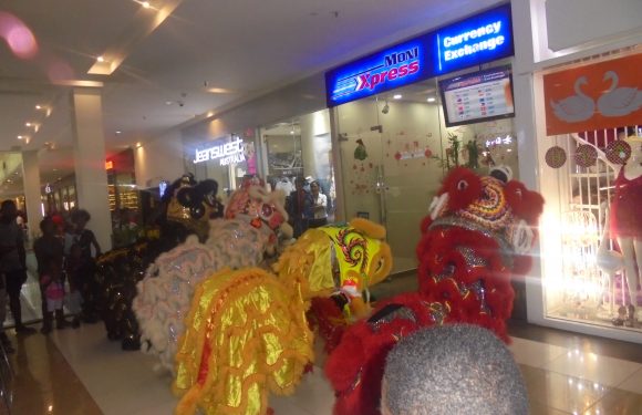 Awesome Fun and Entertainment of Welcoming Year of the Pig