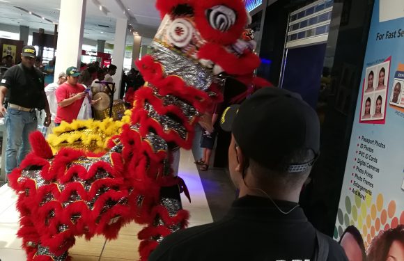 Awesome Fun and Entertainment of Welcoming Year of the Pig