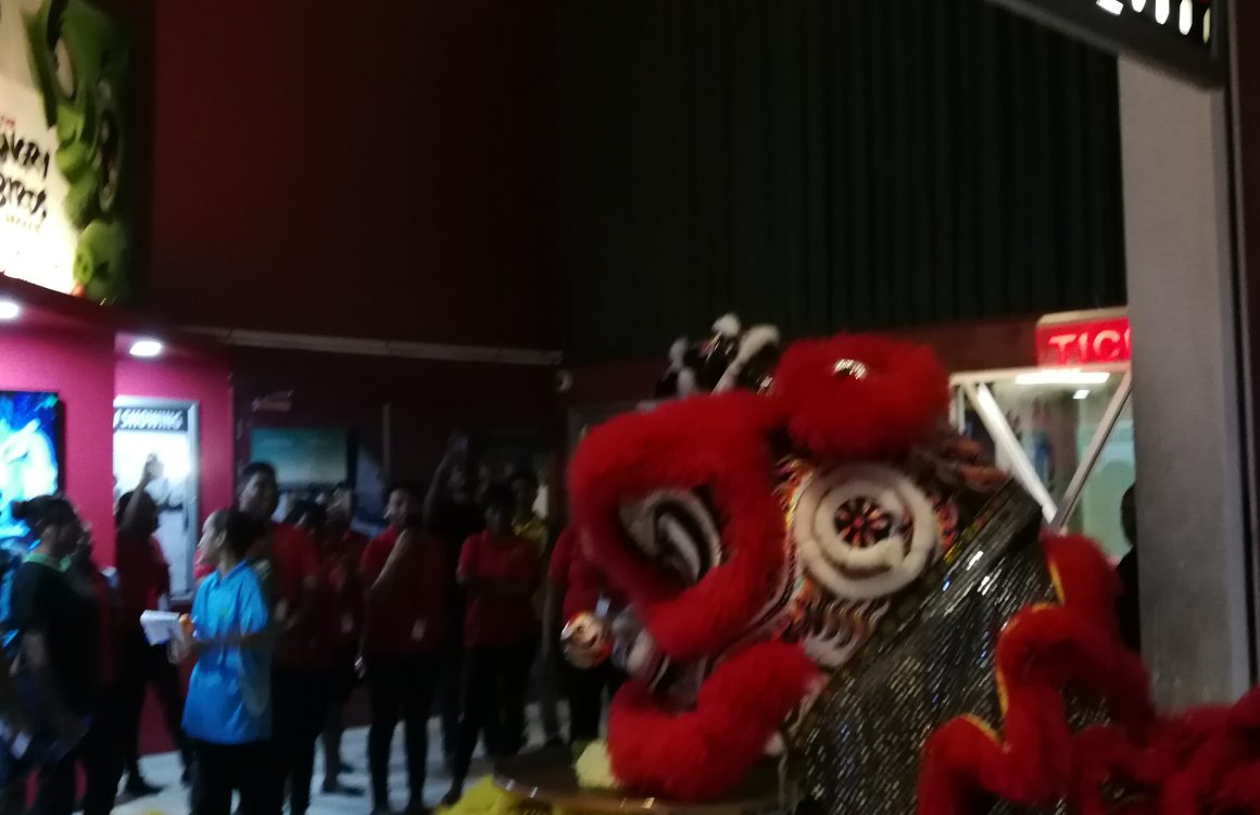 sdr Awesome Fun and Entertainment of Welcoming Year of the Pig