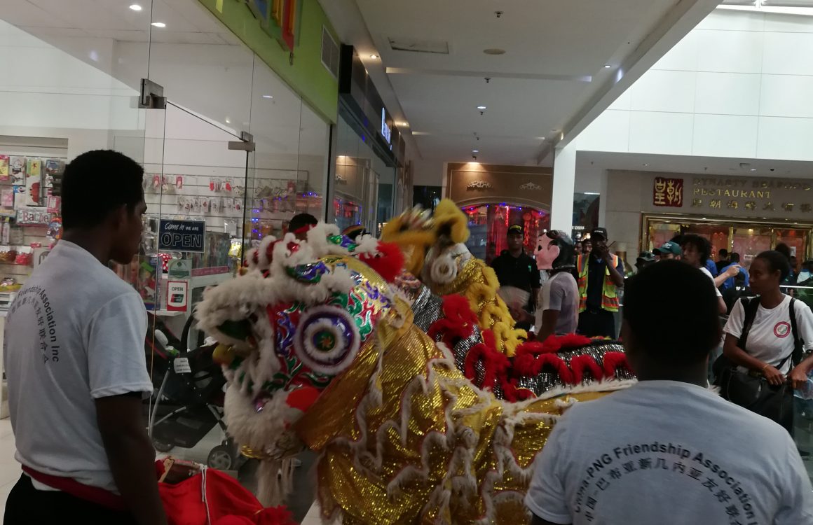 sdr Awesome Fun and Entertainment of Welcoming Year of the Pig