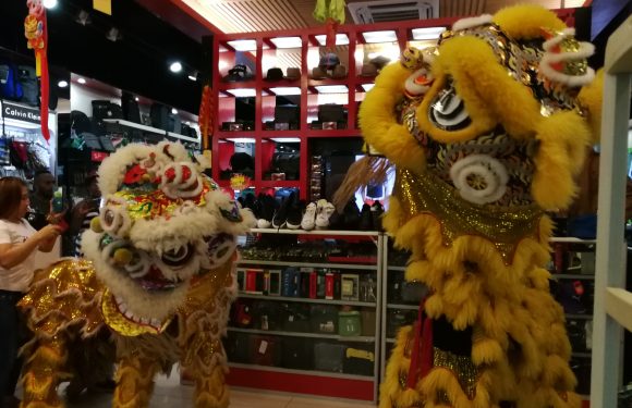 Awesome Fun and Entertainment of Welcoming Year of the Pig