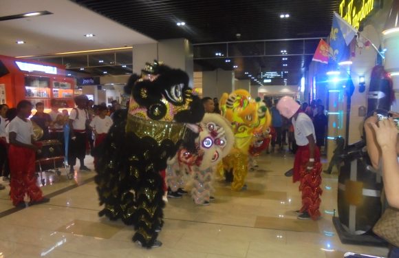 Awesome Fun and Entertainment of Welcoming Year of the Pig