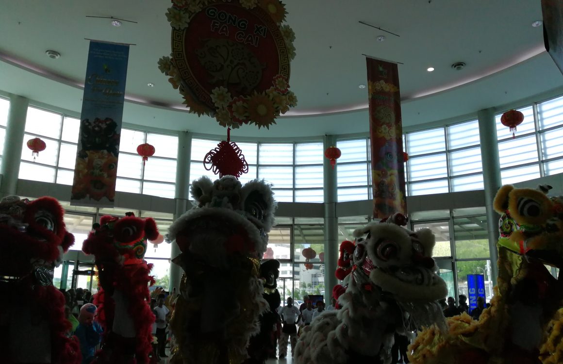 sdr Awesome Fun and Entertainment of Welcoming Year of the Pig