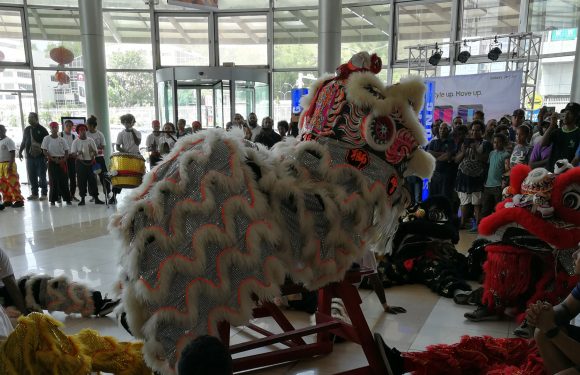 Awesome Fun and Entertainment of Welcoming Year of the Pig