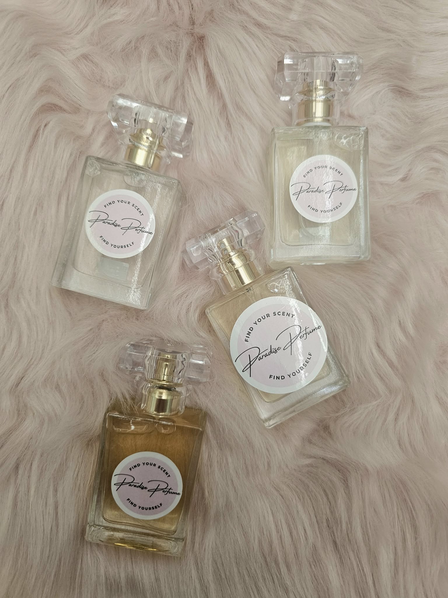 487932631_653504870728471_1362012488282392411_n